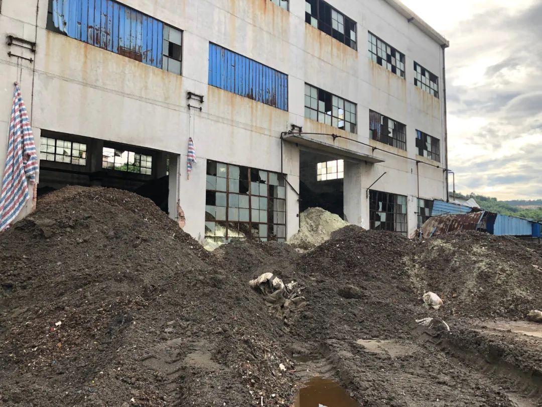 构建“制度约束+技术赋能”的双重监督机制