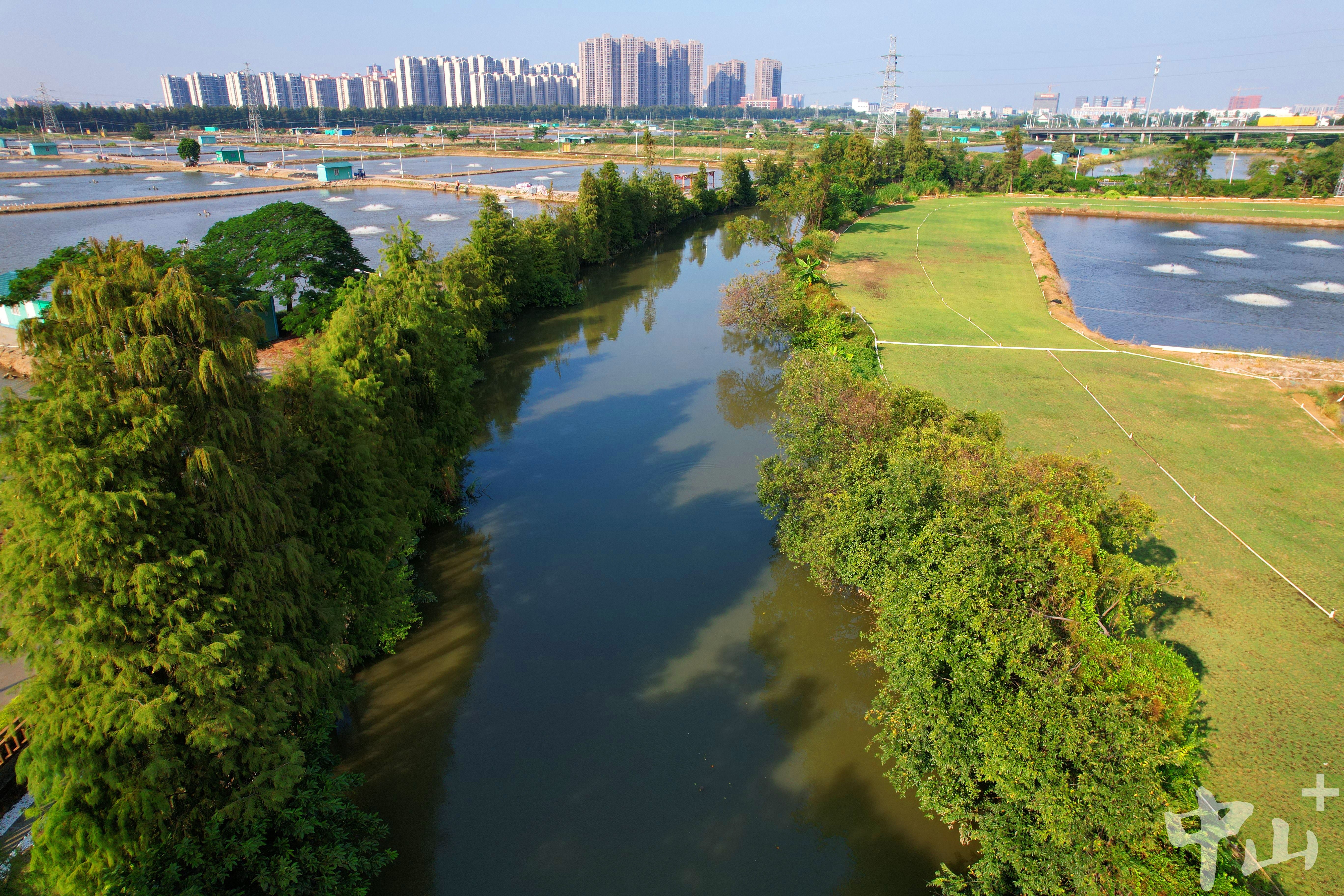 同时根据市场监督管理机构对经营范围规范化表述的要求