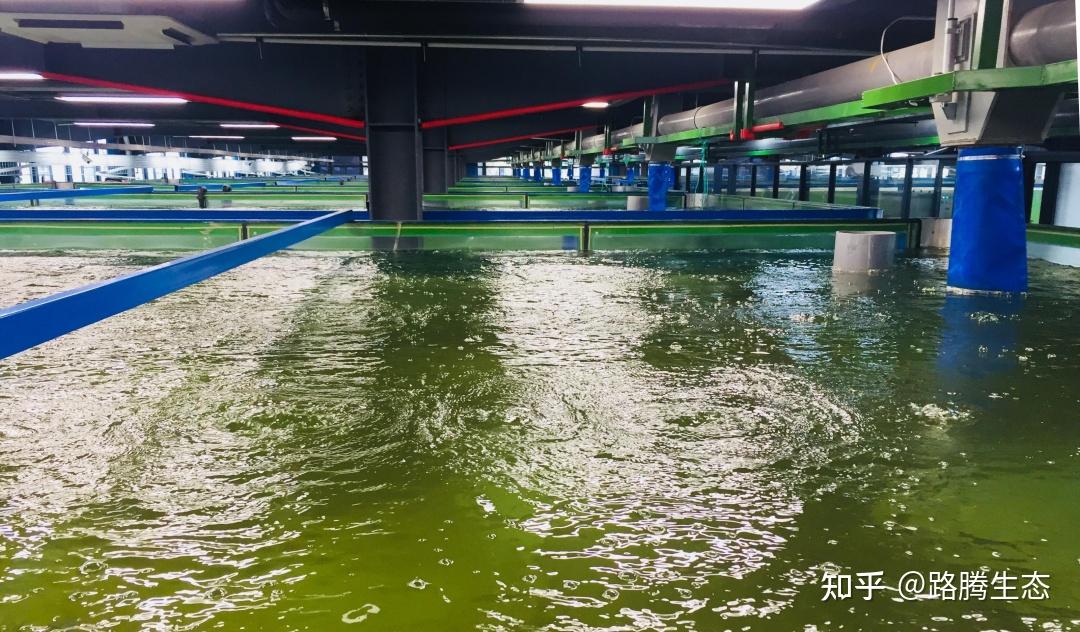 累计派现2216.14万元