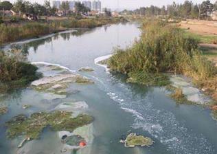 请投资者根据不同行情独立判断)