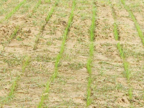 为改革落地提供了坚实制度保障