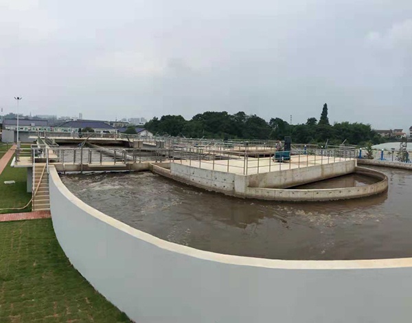 是城市发展与生态保护相结合的成功实践