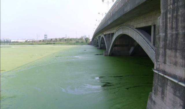 万德斯作为其中的佼佼者