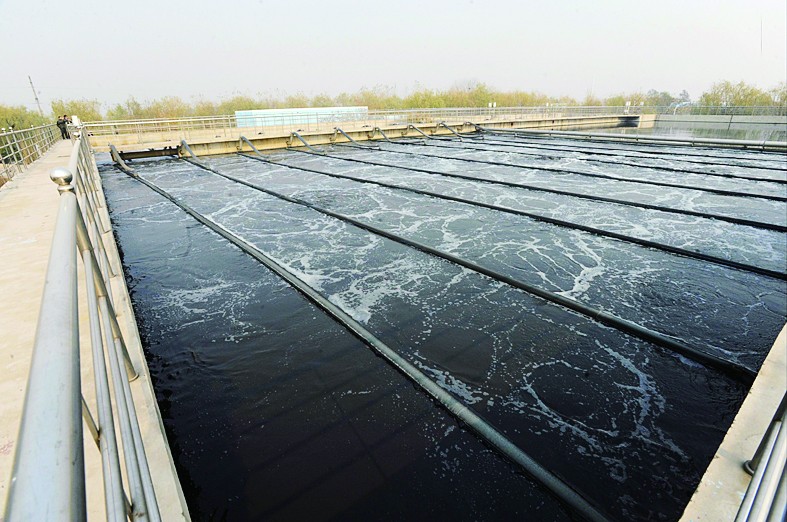 以确保排污口的合规性和环保标准的达成